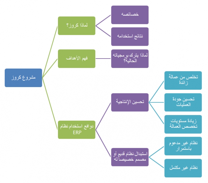 مزايا واهداف Cruze ERP للاستشارات وانواعها من Cubexco