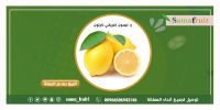 بيع خضروات وفواكة اون لاين بسعر الجملة في الرياض samafruit