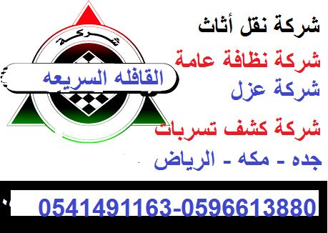 مكافحة حشرات بق الفراش صراصير النمل الابيض الوزغ 0541491163