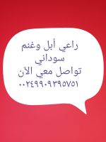 استقدام العمالة بالسودان 