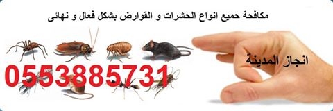 شركة مكافحة الحشرات  بالمدينة المنورة 0553885731
