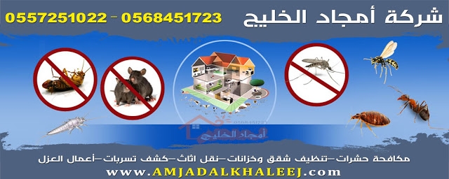 شركة مكافحة الحشرات بالمدينه المنوره 0568451723