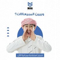 شركة حلول ميج للاستشارات وتطوير الأعمال